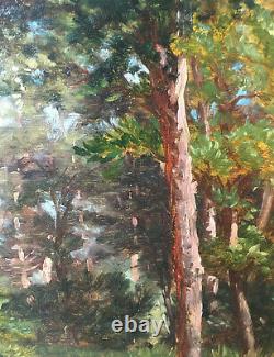 Table Hst/p Landscape Of Undergrowth, Forest XIX Signed Dupont With Frame