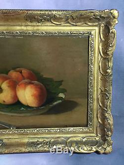 Table Old / Oil On Panel Signed Still Life With Fishing Framed