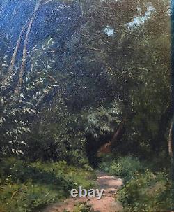 Tableau HSP Forest landscape signed. Dated gain of 1870 + XIXth century frame
