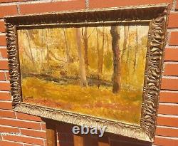 Tableau signed by Roger JAMMES Landscape Undergrowth. Oil painting on canvas