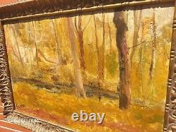 Tableau signed by Roger JAMMES Landscape Undergrowth. Oil painting on canvas