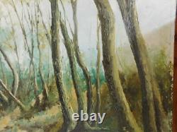 VINCENT (20th century) Bucolic landscape of undergrowth large oil on panel 1972