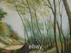 VINCENT (20th century) Bucolic landscape of undergrowth large oil on panel 1972