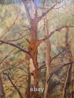 V. Makovsky - Oil on cardboard Forest scene Realism dated 1923