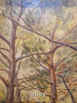 V. Makovsky - Oil on cardboard Forest scene Realism dated 1923