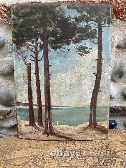 Very Beautiful Oil Oil Wood Serge Sedrac French Riviera Antibes Mediterranean Sea