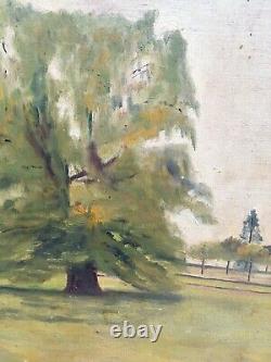 Very Beautiful Painting 1932 Tree Oil Panel Wood Hsp To Identify Signed Back