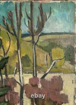 Vintage Oil Canvas Painting, Landscape Scenery Trees Nature Sky, Signed