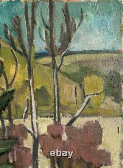 Vintage Oil Canvas Painting, Landscape Scenery Trees Nature Sky, Signed