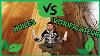 Vitrified Parquet Vs Oil: Which One To Choose? Live Demonstration From Two Sites