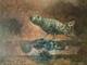 Wood Oil Painting Jacques Van Der Bussche Expressionism Bird Art