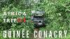 44 Les Crazy Trotters Africa Trip Vanlife Guin E Conacry Episode 10