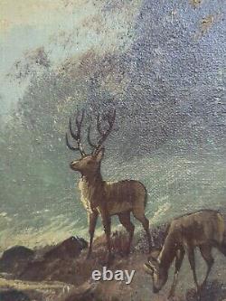 Ancien Tableau Huile Sur Toile cerf dans les bois Signé Thomas