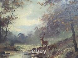 Ancien Tableau Huile Sur Toile cerf dans les bois Signé Thomas