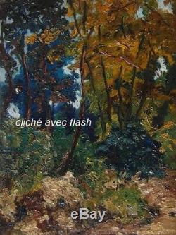 Bel Impressionniste 1900. Puissant Paysage De Forêt. Cachet Lucien Adrion