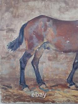 Cheval d' équitation à l'écurie 1900 Henri Gaulet 1863/1936 H/Bois 38,5 x 29,5cm