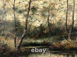 Edmond Le Trouit Langotière (1901-1978), paysage de sous-bois. Huile sur toile