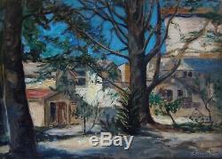 Edouard Leon 1873-1868. Grand & Bel Impressionniste 1921. Un Cedre A Puyricard