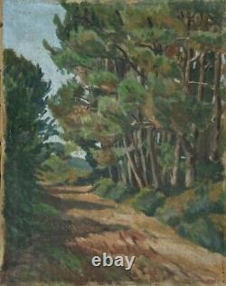 Huile Sur Toile Sous Bois 1900 Paysage H3181