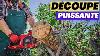 La Tron Onneuse Parfaite U0026 Puissante Einhell Gc Ec 2040 Avis 2024