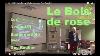 Le Bois De Rose Et Son Huile Essentielle Par Guy Roulier