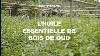 Lush Buying L Huile Essentielle De Bois De Oud