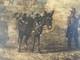 Peinture Huile Bois 1894 Singe Sur Un Ne À Identifier Ancien Impressionnisme