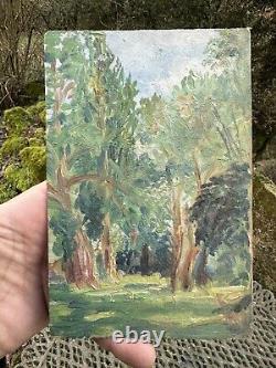 Peinture & Huile Sur Panneau & Forêt & Bois & Arbres