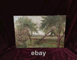Petit Tableau Ancien Peinture Huile HST Ecole Francaise de Barbizon Campagne XIX
