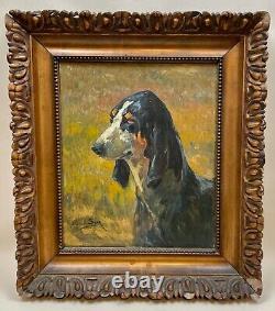 Portrait de chien, basset bleu de Gascogne