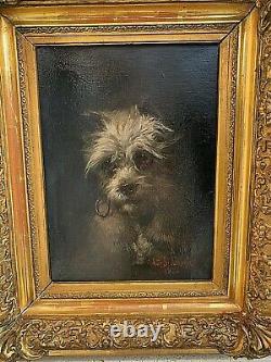 Sublime Huile sur toile du XIXe portrait d'un chien signée Walter BIDDLECOMBE