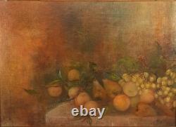 Tableau Nature Morte Fruits Huile Sur Toile Cadre En Bois Signé Bazzi Années 40