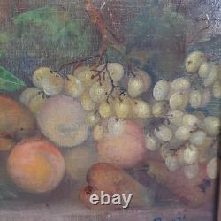 Tableau Nature Morte Fruits Huile Sur Toile Cadre En Bois Signé Bazzi Années 40