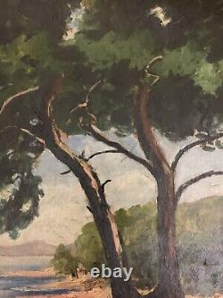 Tableau ancien peinture huile paysage fauve bord de mer pin parasol dlg Seyssaud