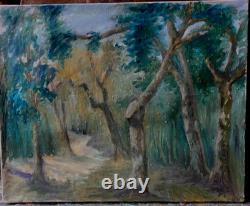 Très belle huile paysage sous bois signé, postimpressionnisme