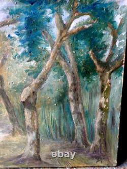 Très belle huile paysage sous bois signé, postimpressionnisme