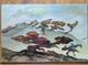Van Der Loo (1911-1996) Huile Sur Toile Et Boiscomposition Abstraite Créatures