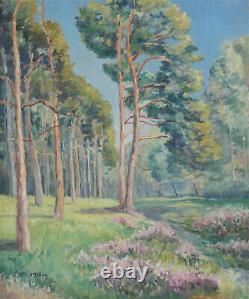 V. DELPY Huile sur toile Sous-bois v1260