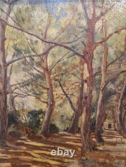 V. Makovsky -Huile sur carton Scène de sous-bois Réalisme datée 1923